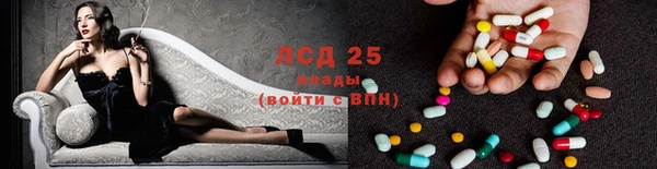 спиды Краснослободск