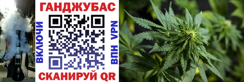 Конопля OG Kush  Купить где  Ардон 